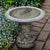 Spring Meadow Birdbath in Cast Stone by Campania International B-169 - Majestic Fountains