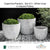 Caipirinha Planters - Set of 3 Volcanic Coral in Glazed Pottery By Campania - Majestic fountains and More