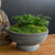 Calistoga Bowl Planter in Cast Stone By Campania International - Majestic Fountains and More