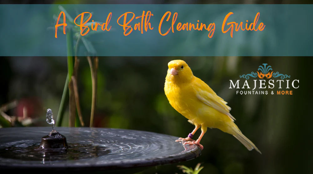 A Bird Bath Cleaning Guide - Majestic Fountains and More