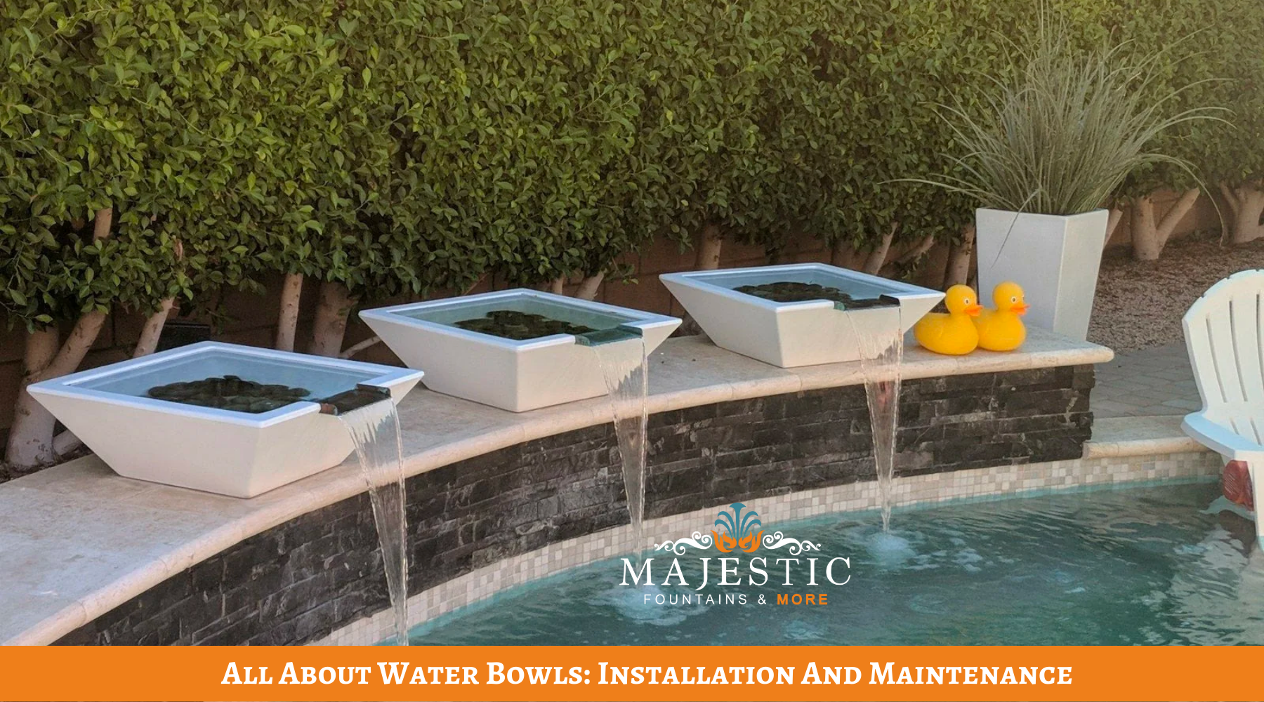 All About Water Bowls: Installation And Maintenance