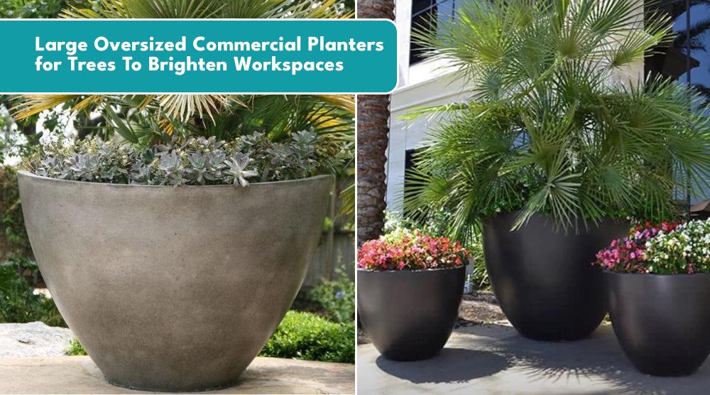 Large Oversized Commercial Planters for Trees To Brighten  Workspaces