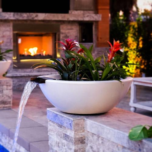 Planter and Water Bowls