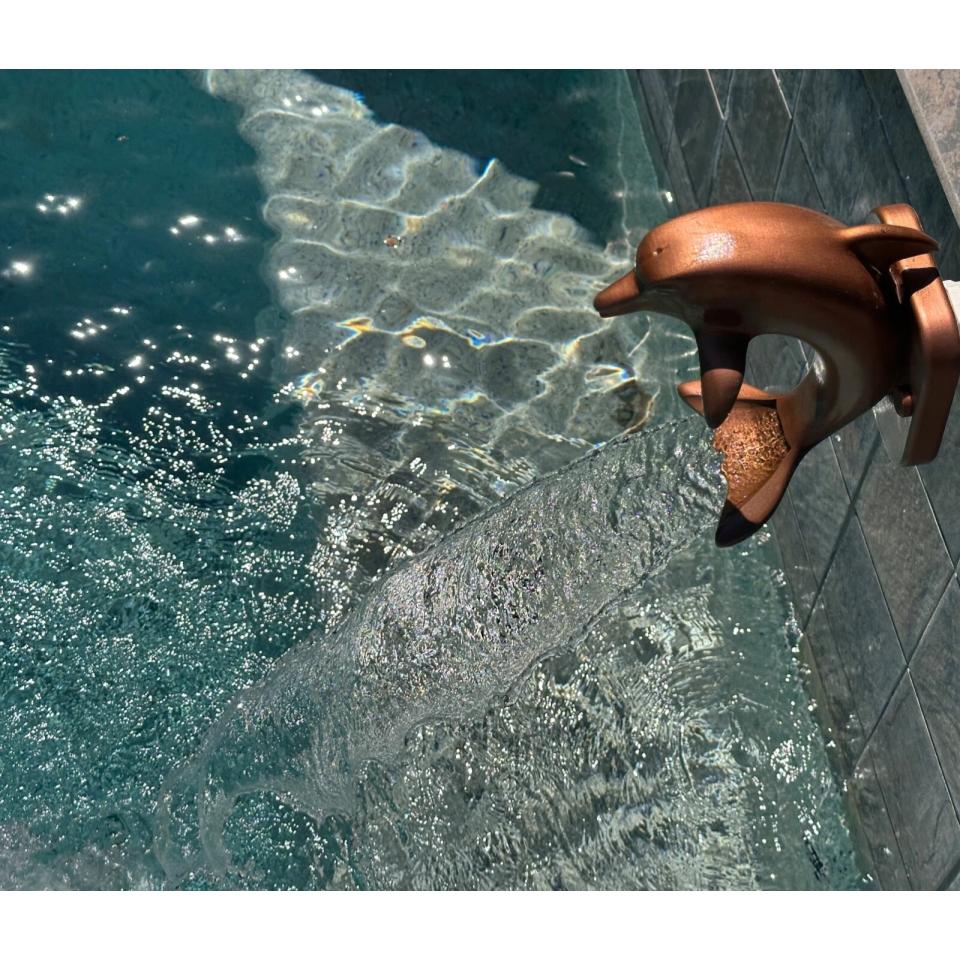 Aqua Dolphin - Decorative Sheer Descent Scupper - On Wall