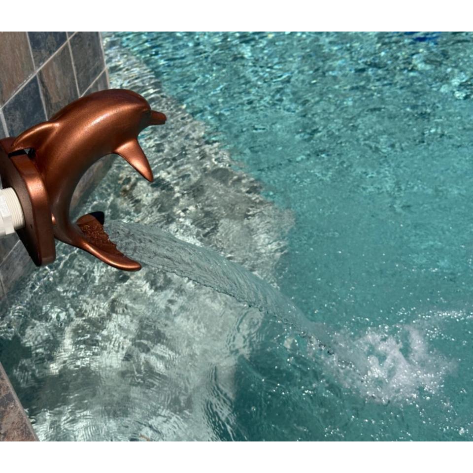 Aqua Dolphin - Decorative Sheer Descent Scupper - On Wall