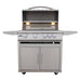 Blaze Premium LTE+ freestanding gas grill on cart