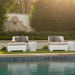 Ledge Lounger Affinity 2 Piece Sun Chair In-Pool & Patio Furniture - Majestic Fountains
