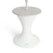 Ledge Lounger Autograph Umbrella Stand Ice Bin In-Pool & Patio Furniture - Majestic Fountains