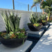 Legacy Round Low Bowl Planter - Majestic Fountains and More