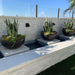 Legacy Round Low Bowl Planter - Majestic Fountains and More