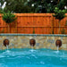 Lion Head Wall Fountain Sculpture in Bronze - Majestic Fountains