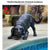 Playful Dog Bronze Fountain Sculpture - Majestic Fountains