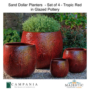 Sand Dollar Planters - Set of 4 in Glazed Pottery By Campania International- Majestic Fountains and More