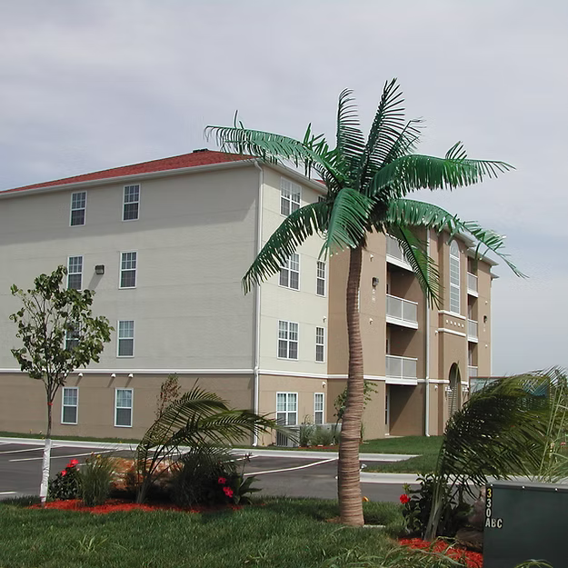 Seaside Serenity Coconut Palm Tree Set - Majestic Fountains and More