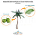Seaside Serenity Coconut Palm Tree Triple Set Features - Majestic Fountains
