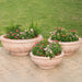 Sonoma Bowl Planter - Majestic Fountains