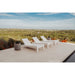 Tupelo Deck Lounge Chaise - Set of 2 - In-Pool & Patio Furniture  - Majestic Fountains