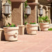 Tuscon Planter Size - Majestic Fountains