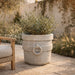 Tuscon Planter  - Majestic Fountains