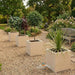 Warwick Square Planter in Dry Cast Sandstone - Majestic Fountains