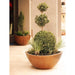 Slick Rock Wave Small Planter - Majestic Fountains