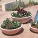 Wok Planter  - Majestic Fountains