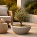 Wok Planter - Majestic Fountains