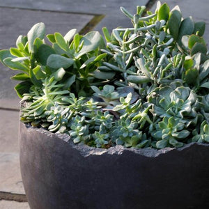 Broken Egg Planter in Cast Stone By Campania International - Majestic Fountains and More