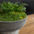 Calistoga Bowl Planter in Cast Stone By Campania International - Majestic Fountains and More