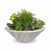 TOP Fires Cazo Wood Grain Planter Bowl in GFRC Concrete by The Outdoor Plus - Majestic Fountains