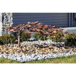 Creeping Japanese Maple- Complete Kit - Majestic Fountains