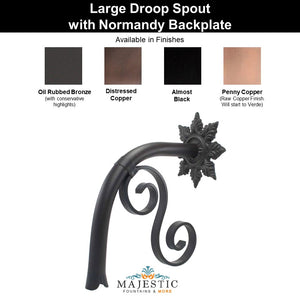 Droop Spout – Large with Normandy Backplate