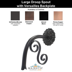 Droop Spout – Large with Versailles Backplate